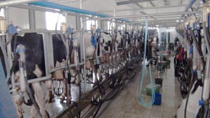 lewin����-(�й�)���޹�˾�ٷ���վ