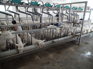 lewin����-(�й�)���޹�˾�ٷ���վ