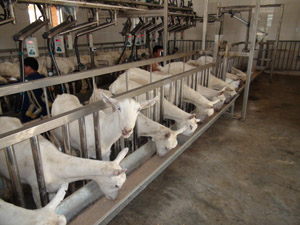 lewin����-(�й�)���޹�˾�ٷ���վ