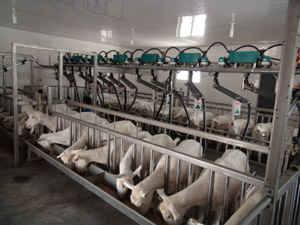 lewin����-(�й�)���޹�˾�ٷ���վ