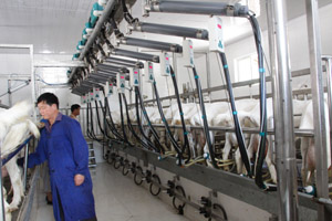 lewin����-(�й�)���޹�˾�ٷ���վ